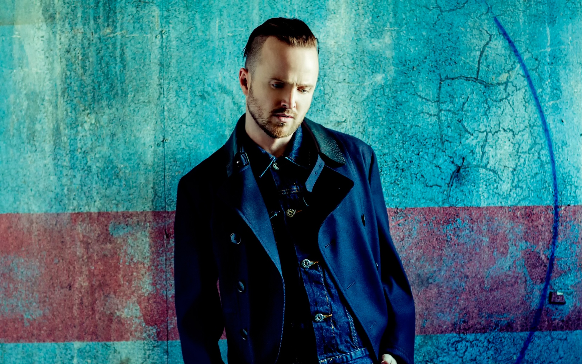 Aaron Paul 1