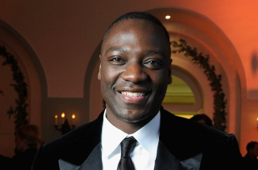  Adewale Akinnuoye-Agbaje Quotes