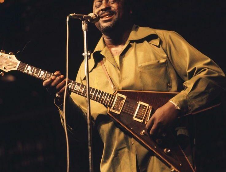  Albert King Quotes