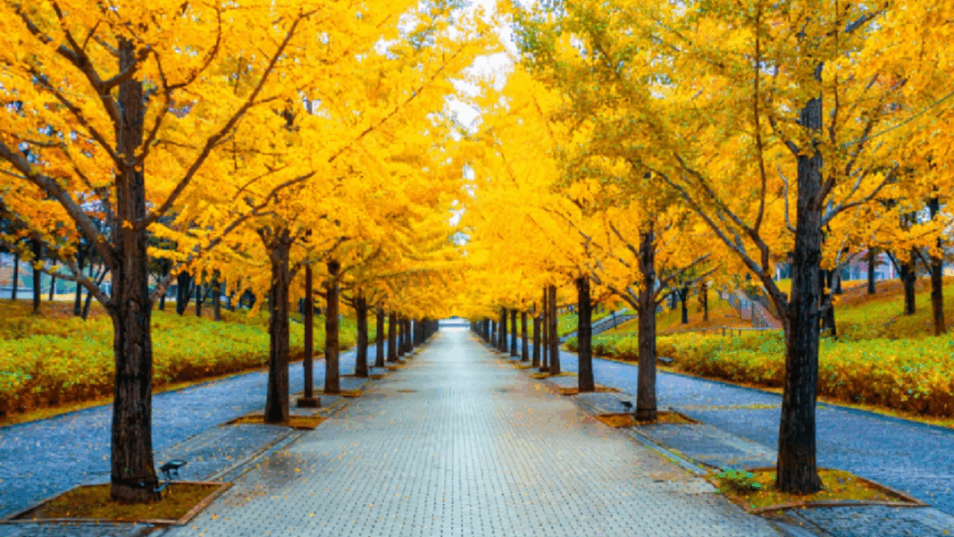 A Journey Through Nature_1